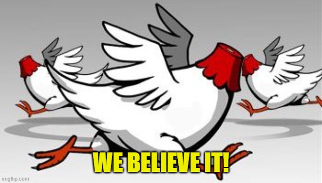 headless chicken | WE BELIEVE IT! | image tagged in headless chicken | made w/ Imgflip meme maker