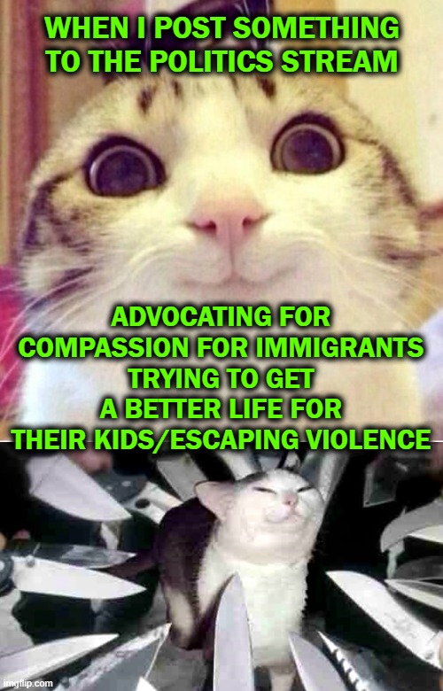 I've learned my lesson | WHEN I POST SOMETHING TO THE POLITICS STREAM; ADVOCATING FOR COMPASSION FOR IMMIGRANTS TRYING TO GET A BETTER LIFE FOR THEIR KIDS/ESCAPING VIOLENCE | image tagged in border wall,illegal immigration,asylum,caravan | made w/ Imgflip meme maker
