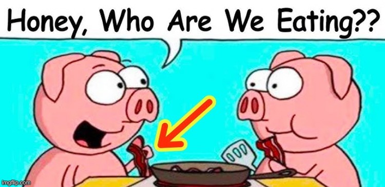 pfft- | image tagged in memes,pig,uh oh | made w/ Imgflip meme maker