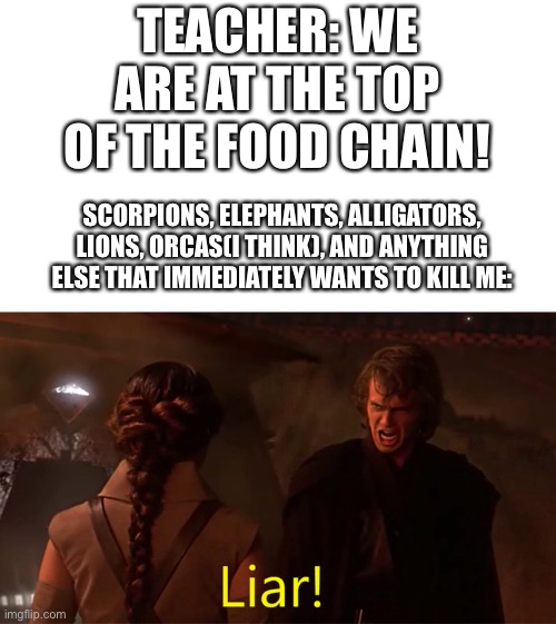 Who said we were at the top if literally anything else can kill us?? | TEACHER: WE ARE AT THE TOP OF THE FOOD CHAIN! SCORPIONS, ELEPHANTS, ALLIGATORS, LIONS, ORCAS(I THINK), AND ANYTHING ELSE THAT IMMEDIATELY WANTS TO KILL ME: | image tagged in lair,memes,food chain | made w/ Imgflip meme maker