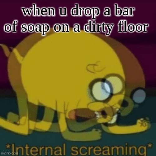 WORST FEELING EVER | when u drop a bar of soap on a dirty floor | image tagged in jake the dog internal screaming | made w/ Imgflip meme maker