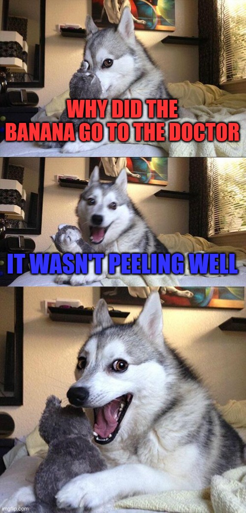 Bad Pun Dog | WHY DID THE BANANA GO TO THE DOCTOR; IT WASN'T PEELING WELL | image tagged in memes,bad pun dog | made w/ Imgflip meme maker