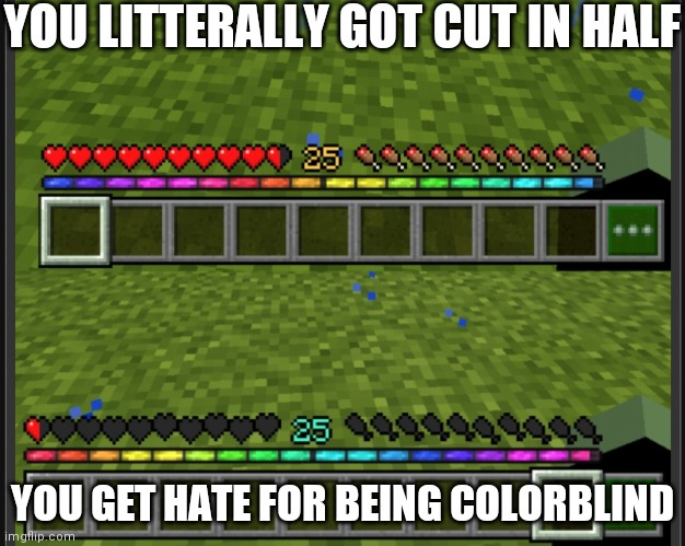 X vs Y | YOU LITTERALLY GOT CUT IN HALF; YOU GET HATE FOR BEING COLORBLIND | image tagged in x vs y | made w/ Imgflip meme maker