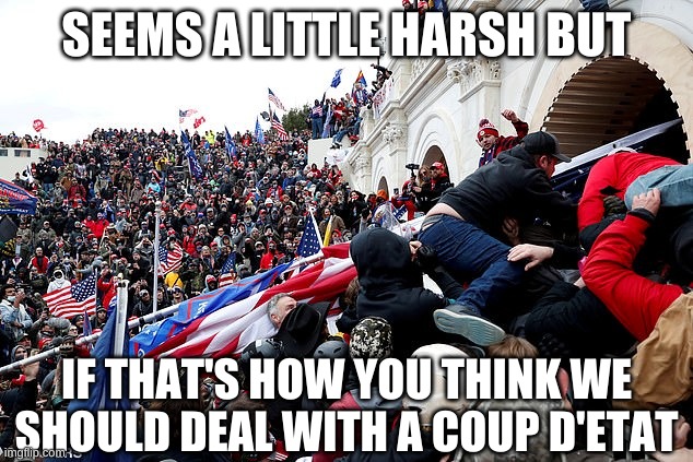 Capitol | SEEMS A LITTLE HARSH BUT IF THAT'S HOW YOU THINK WE SHOULD DEAL WITH A COUP D'ETAT | image tagged in capitol | made w/ Imgflip meme maker