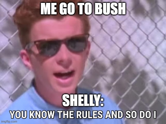 brawl star meme | ME GO TO BUSH; SHELLY: | image tagged in rick astley you know the rules,rick roll | made w/ Imgflip meme maker