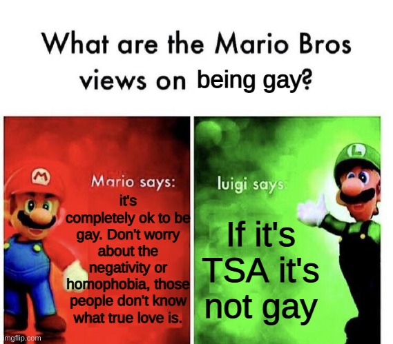 very much so homo but i have a bf | being gay; it's completely ok to be gay. Don't worry about the negativity or homophobia, those people don't know what true love is. If it's TSA it's not gay | image tagged in mario bros views | made w/ Imgflip meme maker