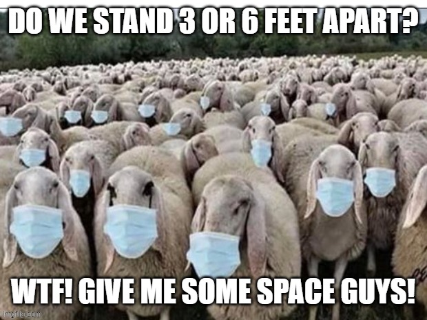 There has been confusion recently in America over social distancing distance norms. | DO WE STAND 3 OR 6 FEET APART? WTF! GIVE ME SOME SPACE GUYS! | image tagged in sign of the sheeple,wear a mask,masks,3 feet apart,6 feet apart,political meme | made w/ Imgflip meme maker