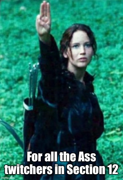 Hunger games | For all the Ass twitchers in Section 12 | image tagged in hunger games | made w/ Imgflip meme maker