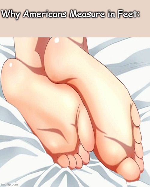 Why Americans measure in feet | Why Americans Measure in Feet: | image tagged in anime meme,feet,americans,america | made w/ Imgflip meme maker