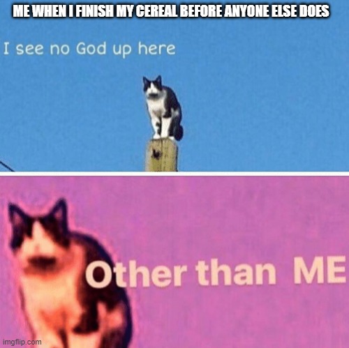 Don't know if it is a repost | ME WHEN I FINISH MY CEREAL BEFORE ANYONE ELSE DOES | image tagged in hail pole cat | made w/ Imgflip meme maker