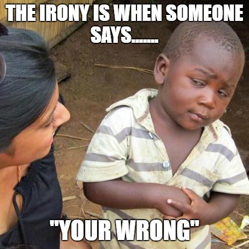 IRONY | THE IRONY IS WHEN SOMEONE
SAYS....... "YOUR WRONG" | image tagged in memes,third world skeptical kid | made w/ Imgflip meme maker