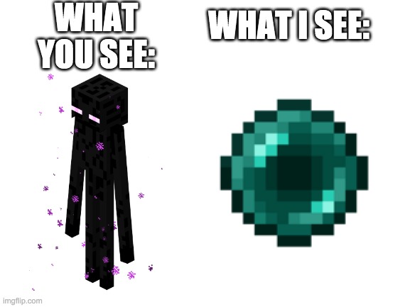 Meme | WHAT YOU SEE:; WHAT I SEE: | image tagged in blank white template | made w/ Imgflip meme maker