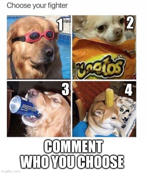 Choose your fighter | 2; 1; 4; 3; COMMENT WHO YOU CHOOSE | image tagged in choose wisely,dogs | made w/ Imgflip meme maker
