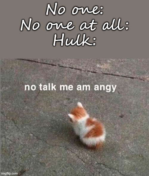no talk me am angy | No one:
No one at all:
Hulk: | image tagged in no talk me am angy | made w/ Imgflip meme maker