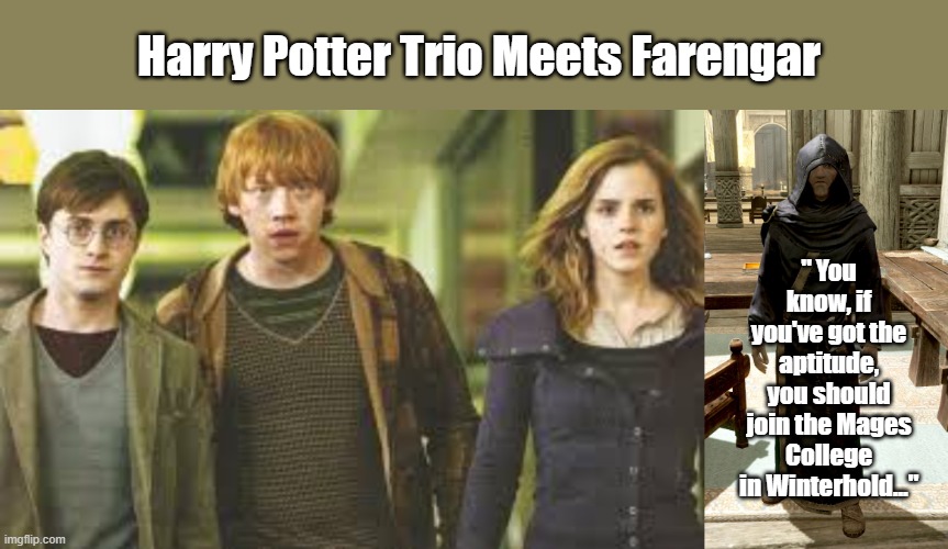 Harry Potter Trio Meets Farengar | Harry Potter Trio Meets Farengar; " You know, if you've got the aptitude, you should join the Mages College in Winterhold..." | image tagged in harry potter,far left or far right no farengar,memes,skyrim | made w/ Imgflip meme maker