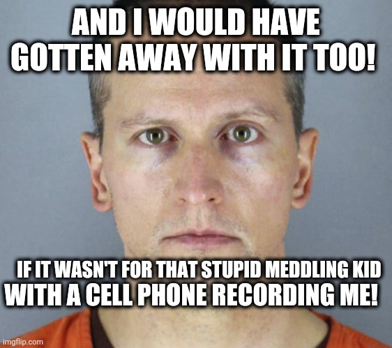 Gotcha! | AND I WOULD HAVE GOTTEN AWAY WITH IT TOO! IF IT WASN'T FOR THAT STUPID MEDDLING KID; WITH A CELL PHONE RECORDING ME! | image tagged in derek chauvin,killer,crooked,cop,scooby doo meddling kids,scooby doo | made w/ Imgflip meme maker