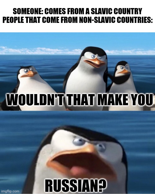 Based on a true story | SOMEONE: COMES FROM A SLAVIC COUNTRY
PEOPLE THAT COME FROM NON-SLAVIC COUNTRIES:; WOULDN'T THAT MAKE YOU; RUSSIAN? | image tagged in wouldn't that make you,russia,vodka,funny,memes | made w/ Imgflip meme maker