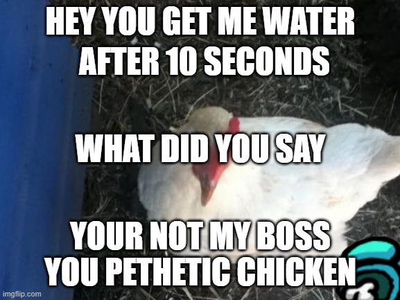 Mr Chicken meme | HEY YOU GET ME WATER; AFTER 10 SECONDS; WHAT DID YOU SAY; YOUR NOT MY BOSS YOU PETHETIC CHICKEN | image tagged in memes,angry chicken boss | made w/ Imgflip meme maker