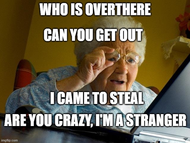 Granma is confused | WHO IS OVERTHERE; CAN YOU GET OUT; I CAME TO STEAL; ARE YOU CRAZY, I'M A STRANGER | image tagged in memes,grandma finds the internet | made w/ Imgflip meme maker