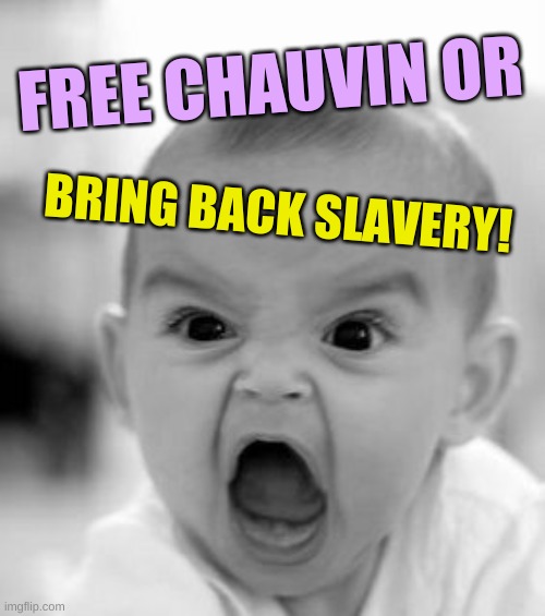 shapiro-son | FREE CHAUVIN OR; BRING BACK SLAVERY! | image tagged in memes,angry baby,conservative logic,whining,racism,derek chauvin | made w/ Imgflip meme maker