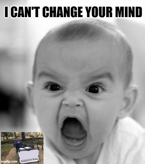 The baby is RIGHT | I CAN'T CHANGE YOUR MIND | image tagged in memes,angry baby,funny,funny memes | made w/ Imgflip meme maker