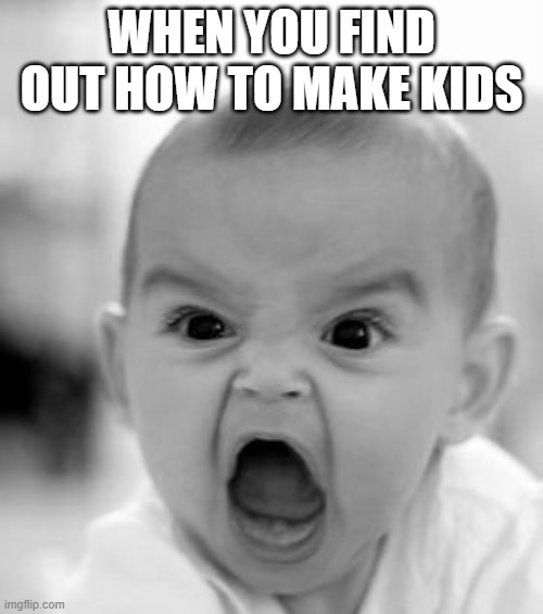 Angry Baby Meme | WHEN YOU FIND OUT HOW TO MAKE KIDS | image tagged in memes,angry baby | made w/ Imgflip meme maker