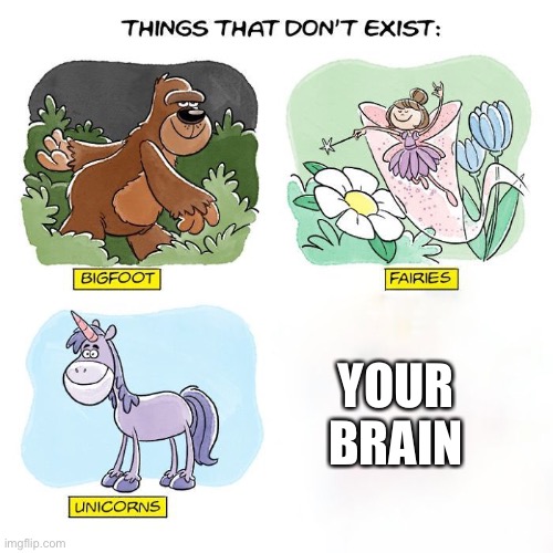 Things That Don't Exist | YOUR BRAIN | image tagged in things that don't exist | made w/ Imgflip meme maker