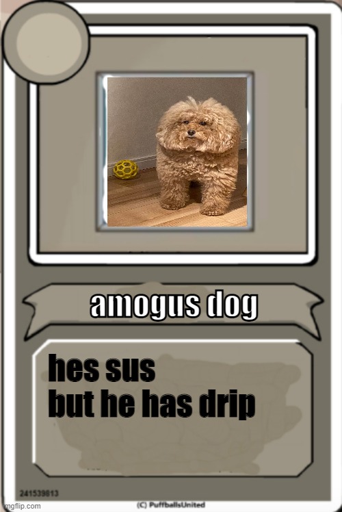 Character Bio | amogus dog; hes sus but he has drip | image tagged in character bio | made w/ Imgflip meme maker