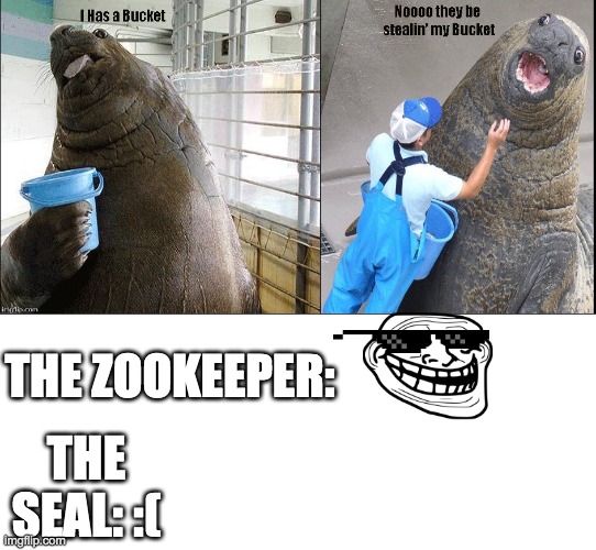 THE ZOOKEEPER:; THE SEAL: :( | image tagged in funny | made w/ Imgflip meme maker