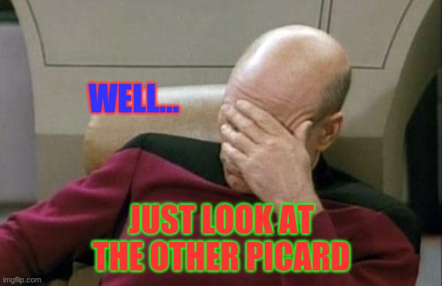 Captain Picard Facepalm Meme | WELL... JUST LOOK AT THE OTHER PICARD | image tagged in memes,captain picard facepalm | made w/ Imgflip meme maker