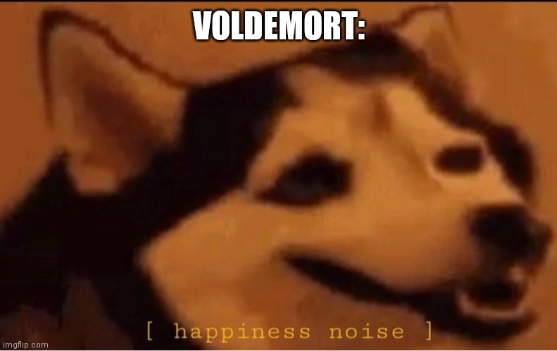 happines noise | VOLDEMORT: | image tagged in happines noise | made w/ Imgflip meme maker