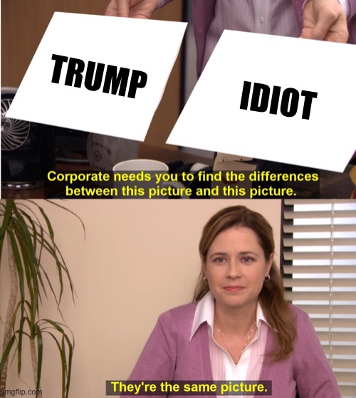 I'm starting to feel bad for trump | TRUMP; IDIOT | image tagged in memes,they're the same picture | made w/ Imgflip meme maker