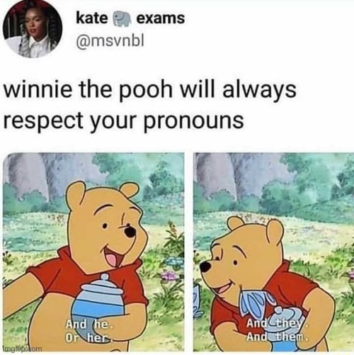 Nothing but respect for this bear  :) | image tagged in lgbtq,non binary,winnie the pooh | made w/ Imgflip meme maker