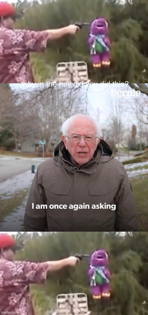 why | why in the hell did you did this? | image tagged in memes,bernie i am once again asking for your support | made w/ Imgflip meme maker
