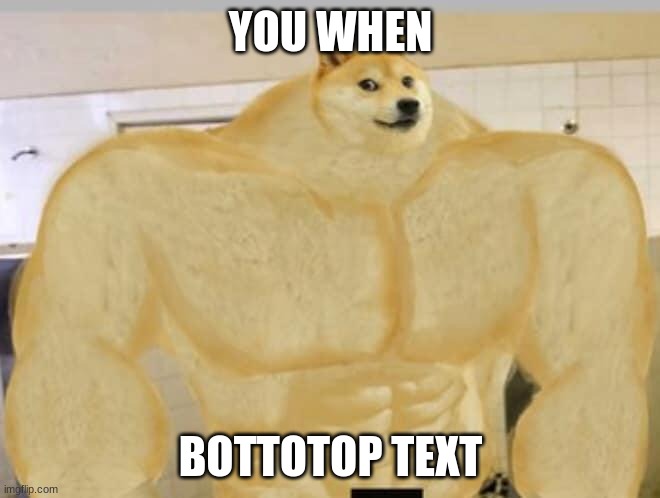 Buff Doge | YOU WHEN; BOTTOTOP TEXT | image tagged in buff doge | made w/ Imgflip meme maker