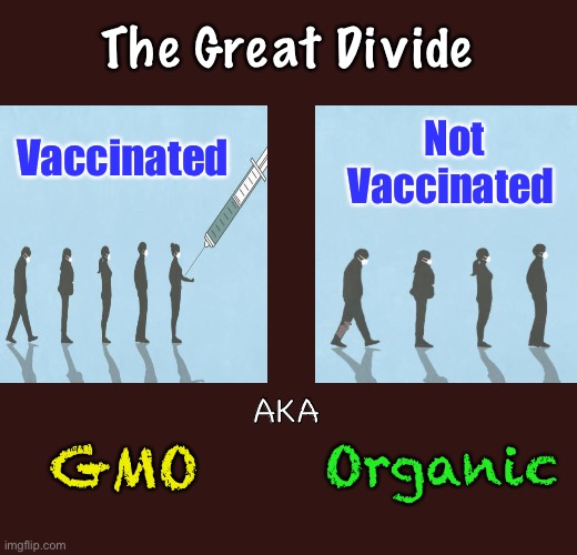 OEM?   Or, After Market?       •       <neverwoke> | The Great Divide; Not Vaccinated; Vaccinated; AKA; MRA; Organic; GMO | image tagged in genetically modified organism,original equipment,as designed by our creator,numbers matching,just say no,choice | made w/ Imgflip meme maker