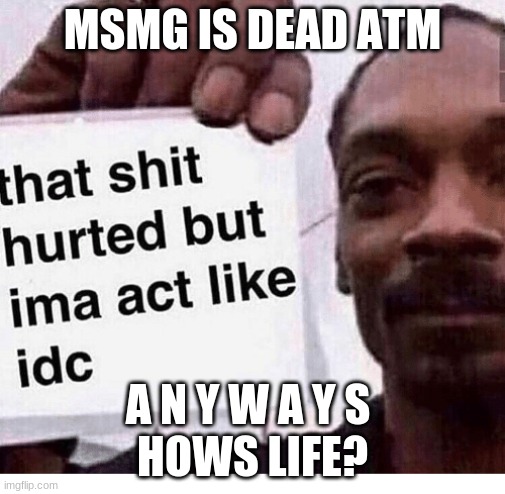 That Shit Hurted | MSMG IS DEAD ATM; A N Y W A Y S 
HOWS LIFE? | image tagged in that shit hurted | made w/ Imgflip meme maker