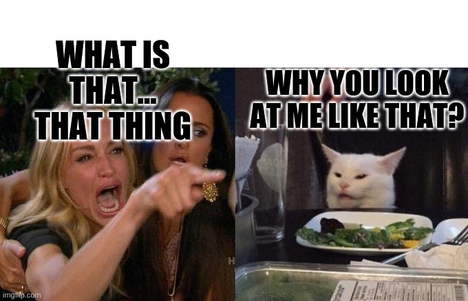 Weird people judging CAT | WHAT IS THAT... THAT THING; WHY YOU LOOK AT ME LIKE THAT? | image tagged in memes,woman yelling at cat,weird person questioning a cat,woman yelling at white cat,white cat table | made w/ Imgflip meme maker