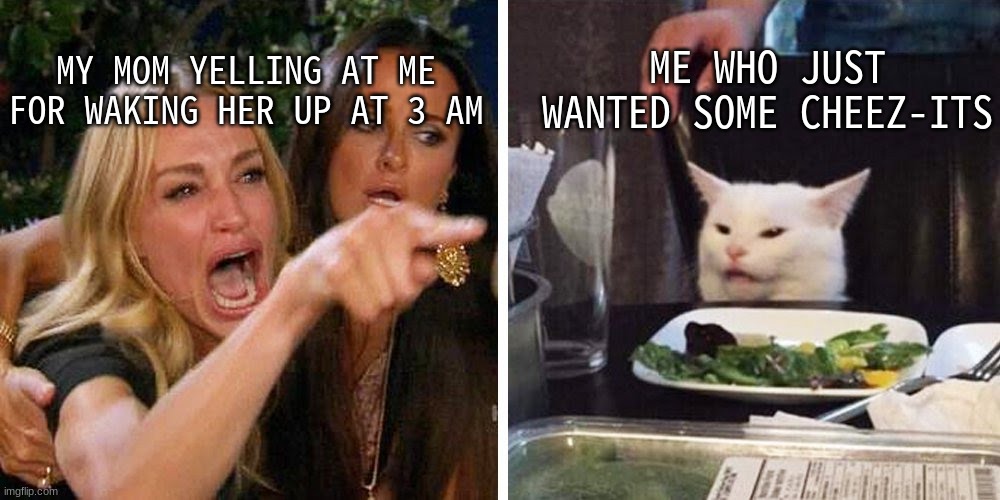 i just wanted cheez-its :( | MY MOM YELLING AT ME FOR WAKING HER UP AT 3 AM; ME WHO JUST WANTED SOME CHEEZ-ITS | image tagged in smudge the cat | made w/ Imgflip meme maker