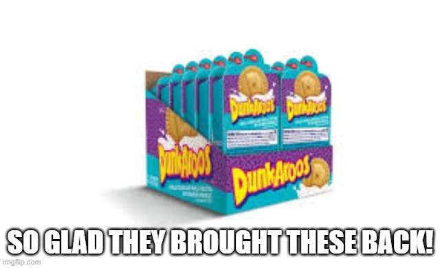 Dunk It! | SO GLAD THEY BROUGHT THESE BACK! | image tagged in 90s kids | made w/ Imgflip meme maker