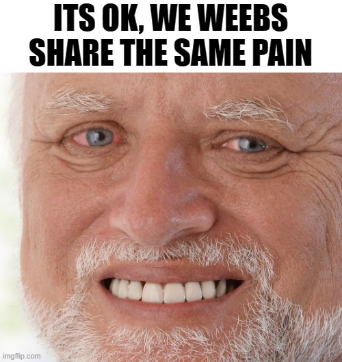 anime is untouchable | ITS OK, WE WEEBS SHARE THE SAME PAIN | image tagged in hide the pain harold | made w/ Imgflip meme maker