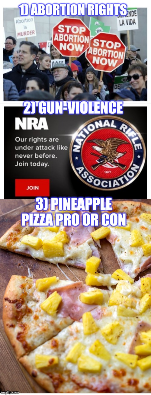 3 MOST HOTLY DISPUTED ISSUES ON IMGFLIP TODAY | 1) ABORTION RIGHTS; 2) GUN-VIOLENCE; 3) PINEAPPLE PIZZA PRO OR CON | image tagged in important,issues | made w/ Imgflip meme maker