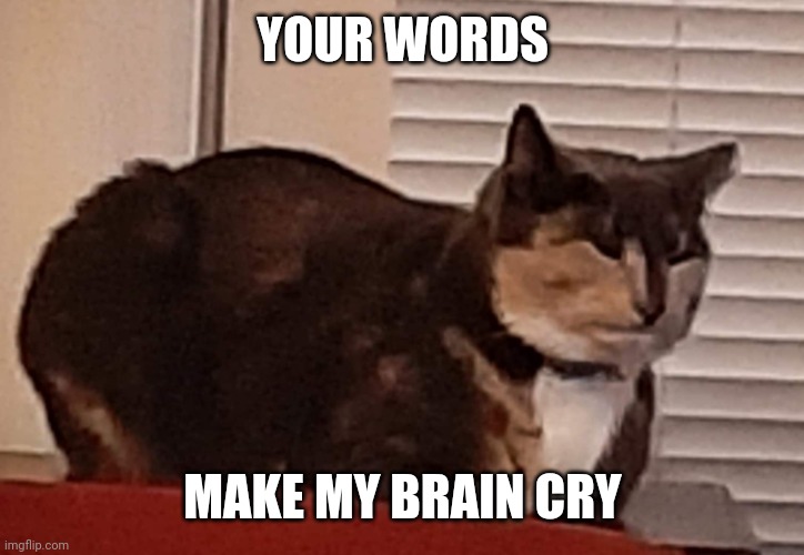 Ouch | YOUR WORDS; MAKE MY BRAIN CRY | image tagged in annoyed cat | made w/ Imgflip meme maker