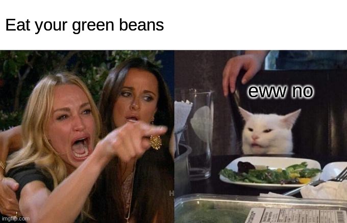 Woman Yelling At Cat | Eat your green beans; eww no | image tagged in memes,woman yelling at cat | made w/ Imgflip meme maker