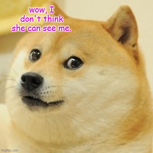 Doge | wow, I don't think she can see me. | image tagged in memes,doge | made w/ Imgflip meme maker