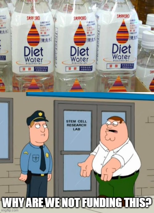 I know that water don't have calories, don't try to explain it to me | WHY ARE WE NOT FUNDING THIS? | image tagged in why are we not funding this,water,diet,memes | made w/ Imgflip meme maker
