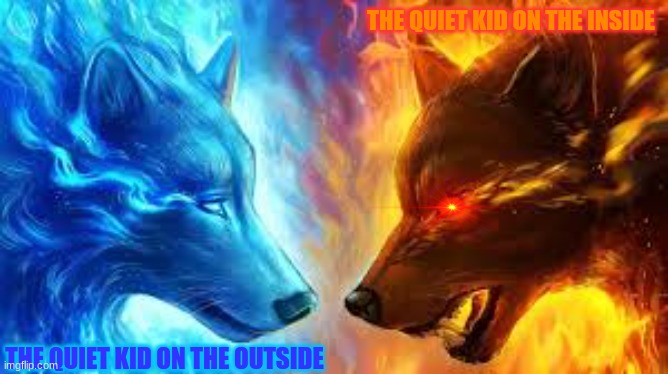 quiet kid | THE QUIET KID ON THE INSIDE; THE QUIET KID ON THE OUTSIDE | image tagged in true | made w/ Imgflip meme maker
