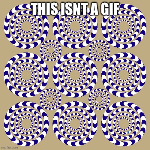 THIS ISN'T A GIF | THIS ISNT A GIF | image tagged in optical illusion | made w/ Imgflip meme maker