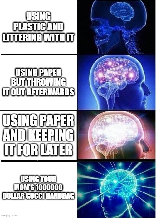 Expanding Brain Meme | USING PLASTIC AND LITTERING WITH IT; USING PAPER BUT THROWING IT OUT AFTERWARDS; USING PAPER AND KEEPING IT FOR LATER; USING YOUR MOM'S 1000000 DOLLAR GUCCI HANDBAG | image tagged in memes,expanding brain | made w/ Imgflip meme maker