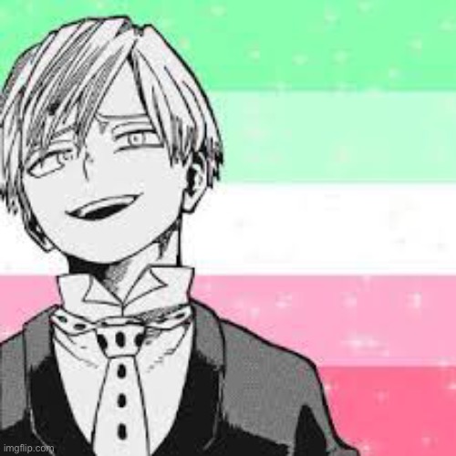 Abrosexual Monoma | image tagged in sorry if i spelled monoma wrong | made w/ Imgflip meme maker